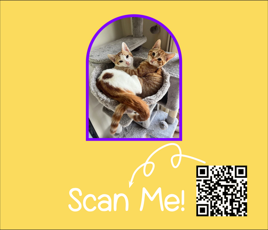 The Adventures of Peach and Pablo Episode 1. *PRE ORDER*